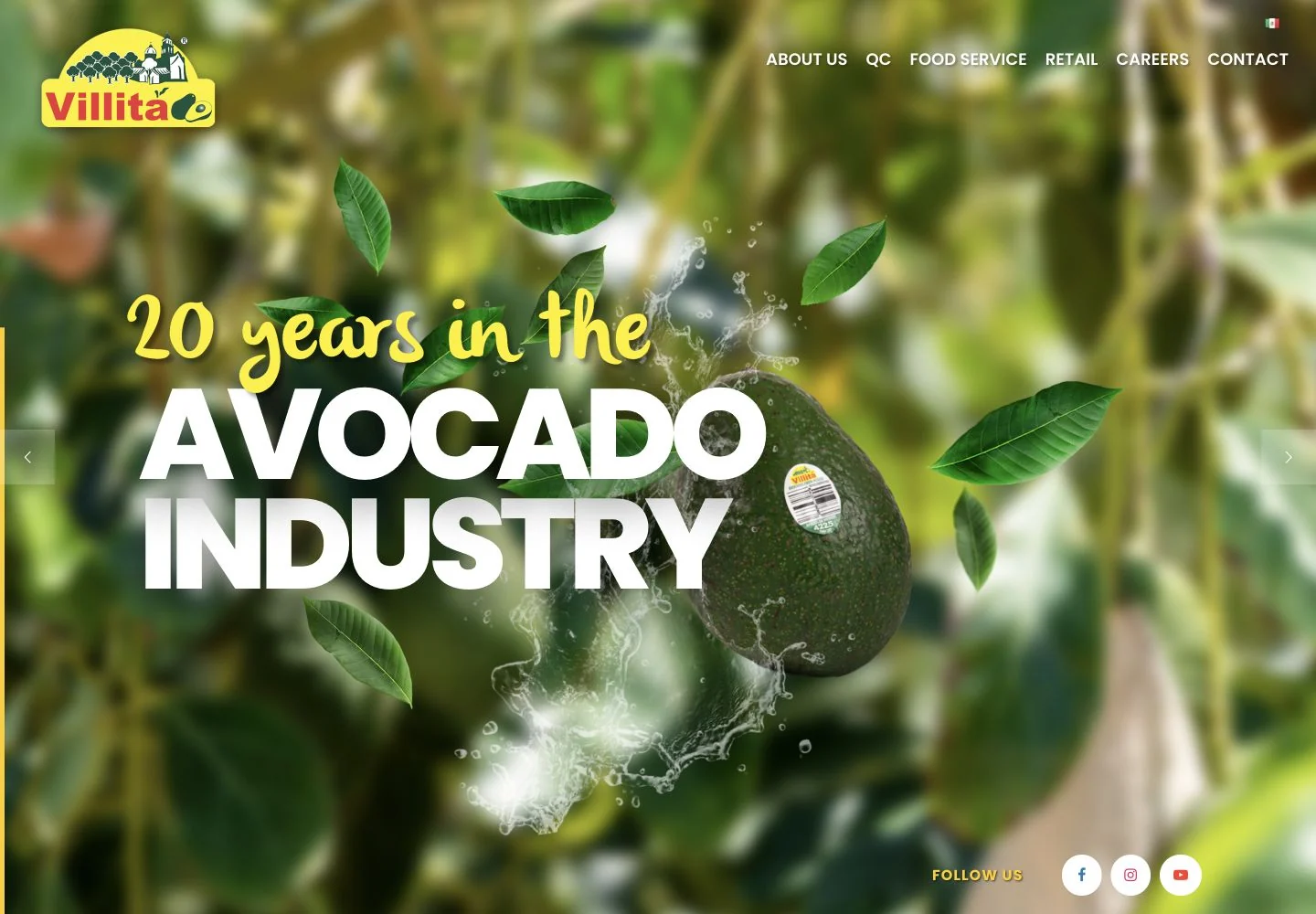 Villita Avocados — desktop website